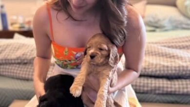 Kiara Advani Photo: प्रेग्नेंसी के दौरान ‘प्यारे दोस्तों’ संग खेलती नजर आईं कियारा आडवाणी