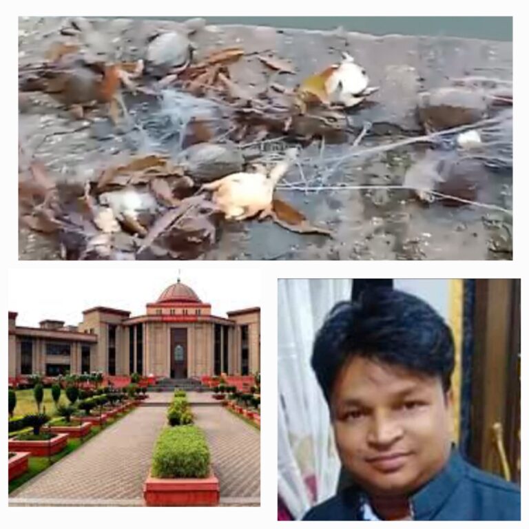 23 कछुओं की रहस्यमय मौत..जागा रतनपुर…न्यायमंच की बैठक में रमेश सूर्या ने कहा…घटना में ट्र्स्ट और कांग्रेस नेता जिम्मेदार