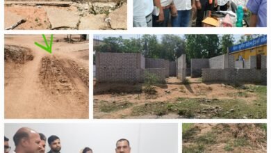 25 साल से कोई VIP नहीं आया..मंत्री,मुख्यमंत्री और सांसद ने भी नहीं झांका.. पढ़ें किस महिला सरपंच ने दिया केन्द्रीय मंत्री को न्योता
