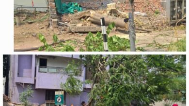 कलेक्टर साहब…बेकार कर रहे पानी,पौधौं की चिंता…स्मार्ट गली के यमराज ने  किया दो पेड़ की हत्या…4 साल पहले हुआ था प्लान्टेशन