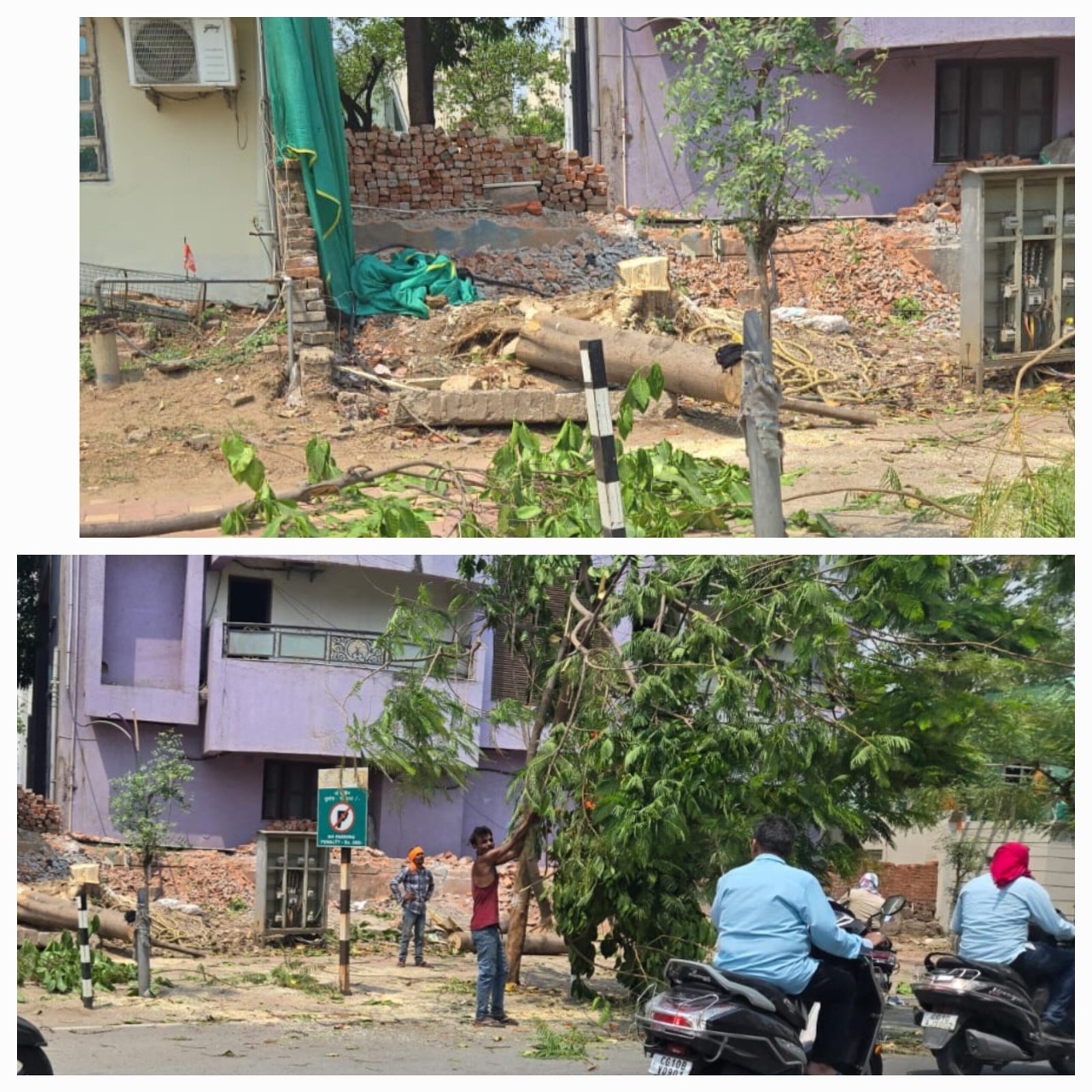 कलेक्टर साहब…बेकार कर रहे पानी,पौधौं की चिंता…स्मार्ट गली के यमराज ने किया दो पेड़ की हत्या…4 साल पहले हुआ था प्लान्टेशन कलेक्टर साहब…बेकार कर रहे पानी,पौधौं की चिंता…स्मार्ट गली के यमराज ने किया दो पेड़ की हत्या…4 साल पहले हुआ था प्लान्टेशन