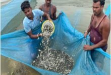 कांकेर बना छत्तीसगढ़ का सबसे बड़ा मत्स्य बीज उत्पादक और निर्यातक जिला