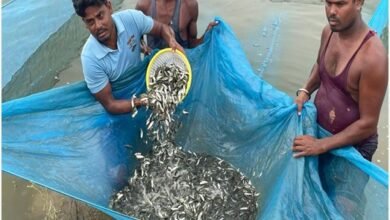 कांकेर बना छत्तीसगढ़ का सबसे बड़ा मत्स्य बीज उत्पादक और निर्यातक जिला