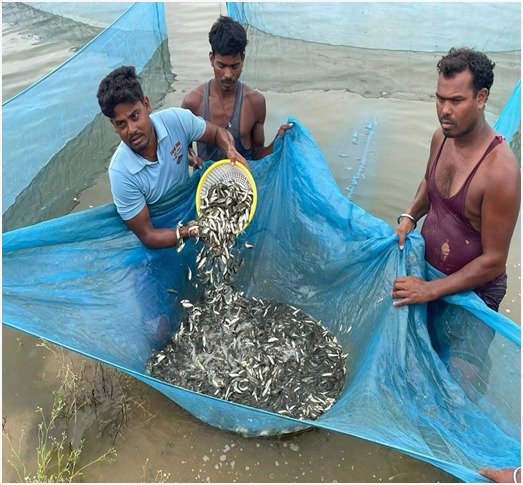 कांकेर बना छत्तीसगढ़ का सबसे बड़ा मत्स्य बीज उत्पादक और निर्यातक जिला कांकेर बना छत्तीसगढ़ का सबसे बड़ा मत्स्य बीज उत्पादक और निर्यातक जिला