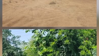 खनिज विभाग की कार्रवाई…57 मामलों में 44 लाख से अधिक चालान….विभाग ने जमा किया खनिज मद में लाखों रूपया