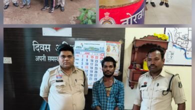 पुलिस की अलग अलग कार्रवाई…नम्बर प्लेट फर्जीवाड़ा समेत 5 गिरफ्तार…टाटा वाहन चोरी का आरोपी बलौदा बाजार में पकड़ाया