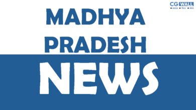 जबलपुर की कंपनी पर अंतर्राष्ट्रीय ठगी का आरोप, दो आरोपियों को समन
