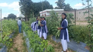 Kondagaon News: फरसगांव की बालिकाएं पीएटी की परीक्षा में हुई सफल