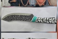 रातभर ताबड़तोड़ चेकिंग – चाकूधारी गिरफ़्तार, नशे में मिले दर्जनभर लोग”