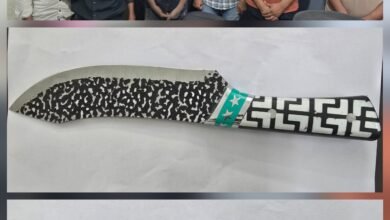 रातभर ताबड़तोड़ चेकिंग – चाकूधारी गिरफ़्तार, नशे में मिले दर्जनभर लोग”