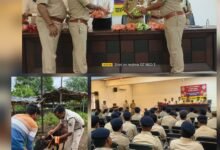 गौवंश को रेडियम पट्टी, अब सड़क हादसों पर लगेगा ब्रेक: बिलासपुर पुलिस की मानवीय पहल..SSP रजनेश ने किया शुभारंभ