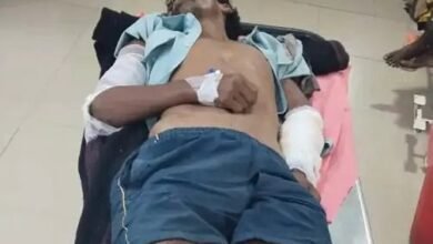 नशे में सड़क पर सो रहा था ग्रामीण…पहुँच गया हाथी… फिर क्या हुआ