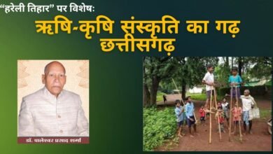 हरेली तिहार पर विशेषः‘’ऋषि-कृषि संस्कृति का गढ़ छत्तीसगढ़’’ – डॅा.पालेश्वर प्रसाद शर्मा