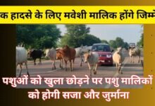 CG NEWS:सड़क हादसे के लिए मवेशी मालिक होंगे जिम्मेदार, पशुओं को खुला छोड़ने पर पशु मालिकों को होगी सजा और जुर्माना