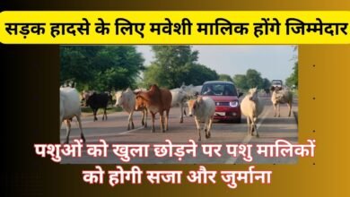 CG NEWS:सड़क हादसे के लिए मवेशी मालिक होंगे जिम्मेदार, पशुओं को खुला छोड़ने पर पशु मालिकों को होगी सजा और जुर्माना