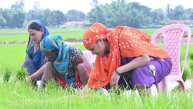 कुर्सी पर खेती: मंत्री जी की ‘माटी से मोहब्बत’ या ‘कैमरे से संवाद’?