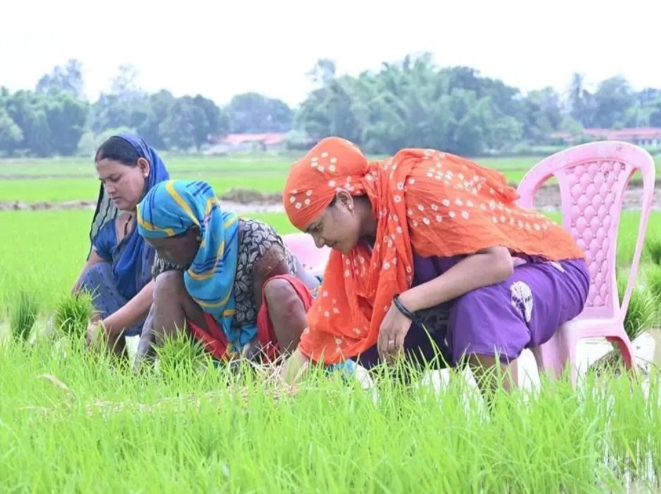 कुर्सी पर खेती: मंत्री जी की ‘माटी से मोहब्बत’ या ‘कैमरे से संवाद’?