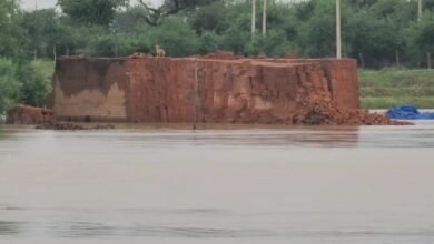 तीन दिन से बाढ़ में फंसा एक बेजुबान..सिस्टम से पूछ रहा..क्या मेरी कोई कीमत नहीं?