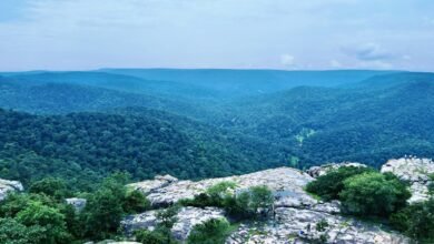 Chhattisgarh Tourism: कांकेर जिले के नए पर्यटन केन्द्र के तौर पर विकसित हो रहा ’धारपारूम’..मनमोहक घाटी में व्यू प्वॉइंट, प्राकृतिक झरना और गुफा भी मौजूद