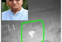 टीएस सिंहदेव के कोठीघर में बड़ी वारदात — चोर ने दिखाया दुस्साहस..15 किलो वजनी पीतल की हाथी मूर्ति किया पार