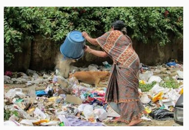 कचरे के ढेर पर बैठा एक शहर.. हर गली मोहल्लों में गंदगी का अम्बांर..अधिकारी और कर्मचारी लगा रहे स्वच्छता मिशन को पलीता