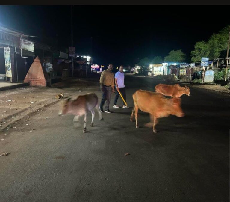 कलेक्टर आदेश पर तखतपुर में बड़ी कार्रवाई – पशुपालकों पर गिरी गाज..अपराध दर्ज