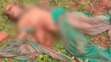 धरमजयगढ़ में फिर त्रासदी: हाथी के हमले से महिला की मौत..गांव में मातम.. कटघरे में वन विभाग