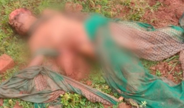 धरमजयगढ़ में फिर त्रासदी: हाथी के हमले से महिला की मौत..गांव में मातम.. कटघरे में वन विभाग धरमजयगढ़ में फिर त्रासदी: हाथी के हमले से महिला की मौत..गांव में मातम.. कटघरे में वन विभाग