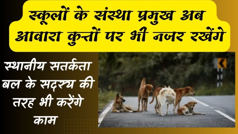 स्कूलों के संस्था प्रमुख अब आवारा कुत्तों पर भी नजर रखेंगे,स्थानीय सतर्कता बल के सदस्य की तरह भी करेंगे काम ..