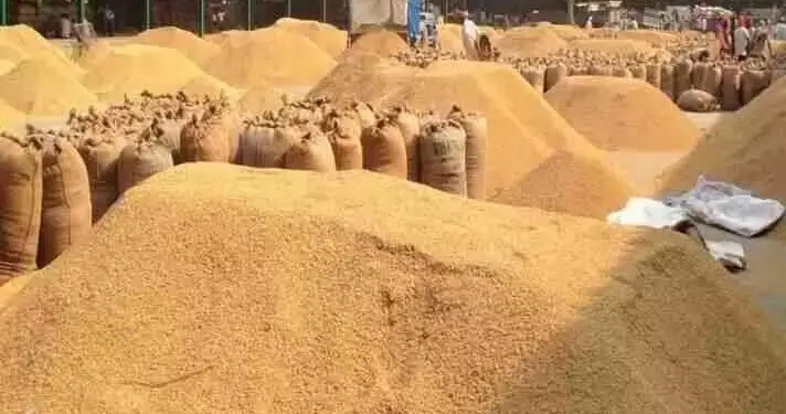 Cg news: राइस मिलों पर प्रशासन की बड़ी कार्रवाई, 1.77 करोड़ का अवैध धान जब्त