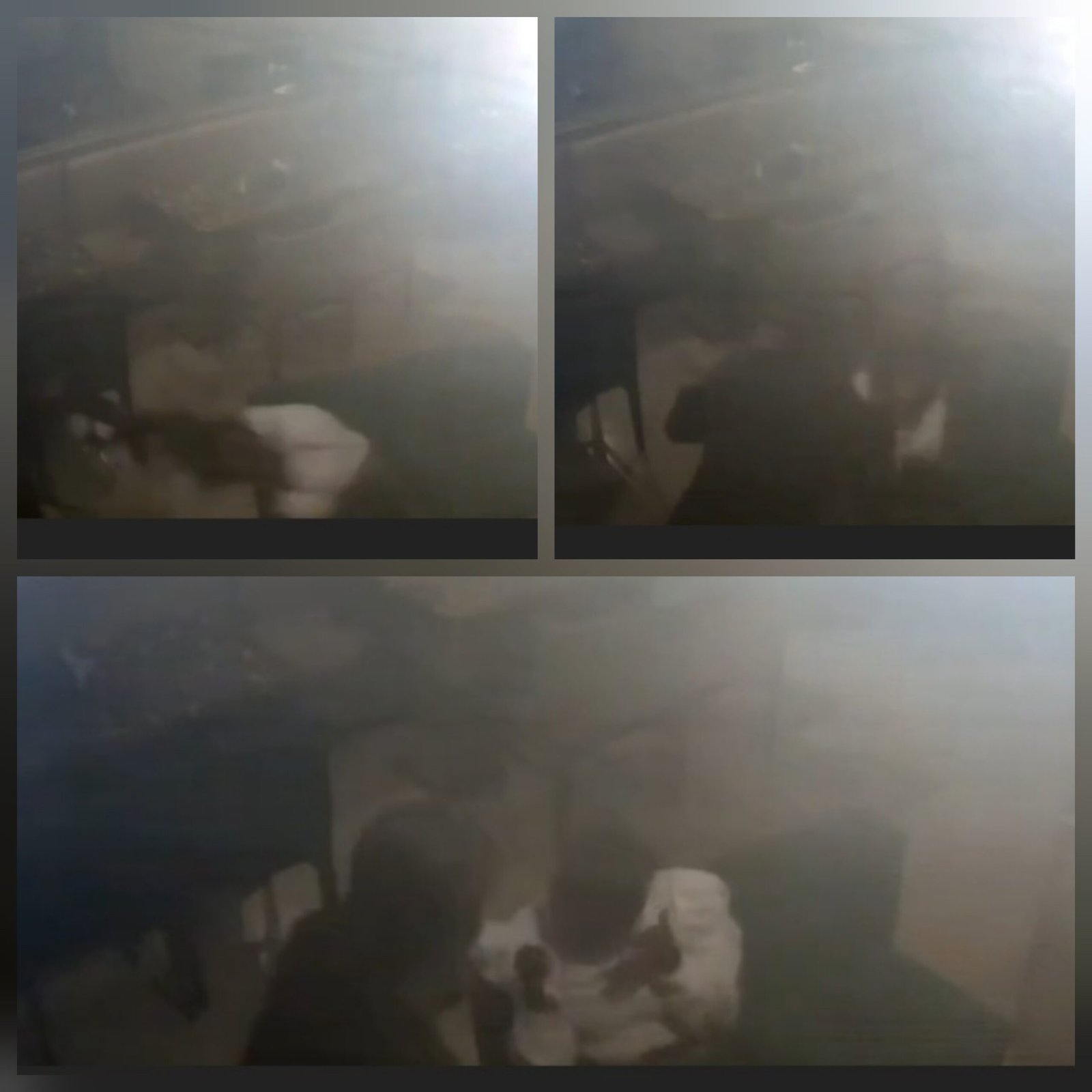 प्यार, शराब और दरिंदगी: बार में बियर बोतल से युवती की हत्या, 23 दिन बाद मौत से हारी