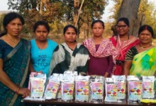 मुख्यधारा की ओर बढ़ते कदमः चौगेल पुनर्वास केंद्र में आत्मसमर्पित नक्सलियों ने हर्बल गुलाल निर्माण से लिखी कहानी