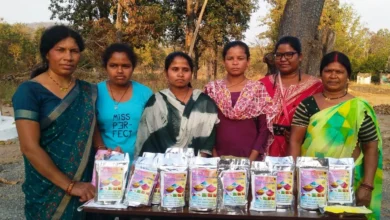 मुख्यधारा की ओर बढ़ते कदमः चौगेल पुनर्वास केंद्र में आत्मसमर्पित नक्सलियों ने हर्बल गुलाल निर्माण से लिखी कहानी