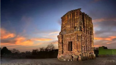 पत्थरों में दर्ज इतिहास: जहाँ हर पत्थर कहता है एक कहानी, जांजगीर का रहस्यमयी विष्णु मंदिर, कलचुरी काल की अमर धरोहर