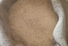 हजारों क्विंटल घटिया चावल ‘लाट पास’ का खेल : नान गोदाम में राज्य स्तरीय जांच