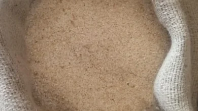 हजारों क्विंटल घटिया चावल ‘लाट पास’ का खेल : नान गोदाम में राज्य स्तरीय जांच