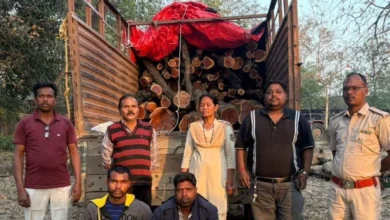 जंगल कटे, ट्रक पकड़ा गया — खैर तस्करी का अंतर्राज्यीय खेल उजागर