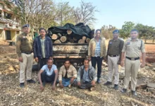 जेवरा जंगल से सागौन की तस्करी.. 5 आरोपी गिरफ्तार जेवरा जंगल से सागौन की तस्करी.. 5 आरोपी गिरफ्तार