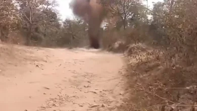 सड़क पर बिछी मौत की साजिश बेनकाब: बीजापुर में 20 किलो IED निष्क्रिय, हिल्स से विस्फोटक जखीरा जब्त