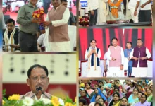 बेसहारा गौवंश को मिलेगा ठिकाना: 11 जिलों में एक साथ 29 गौधाम शुरू, जोगीपुर में बनेगा 184 एकड़ पर प्रदेश का पहला गौ अभ्यारण्य