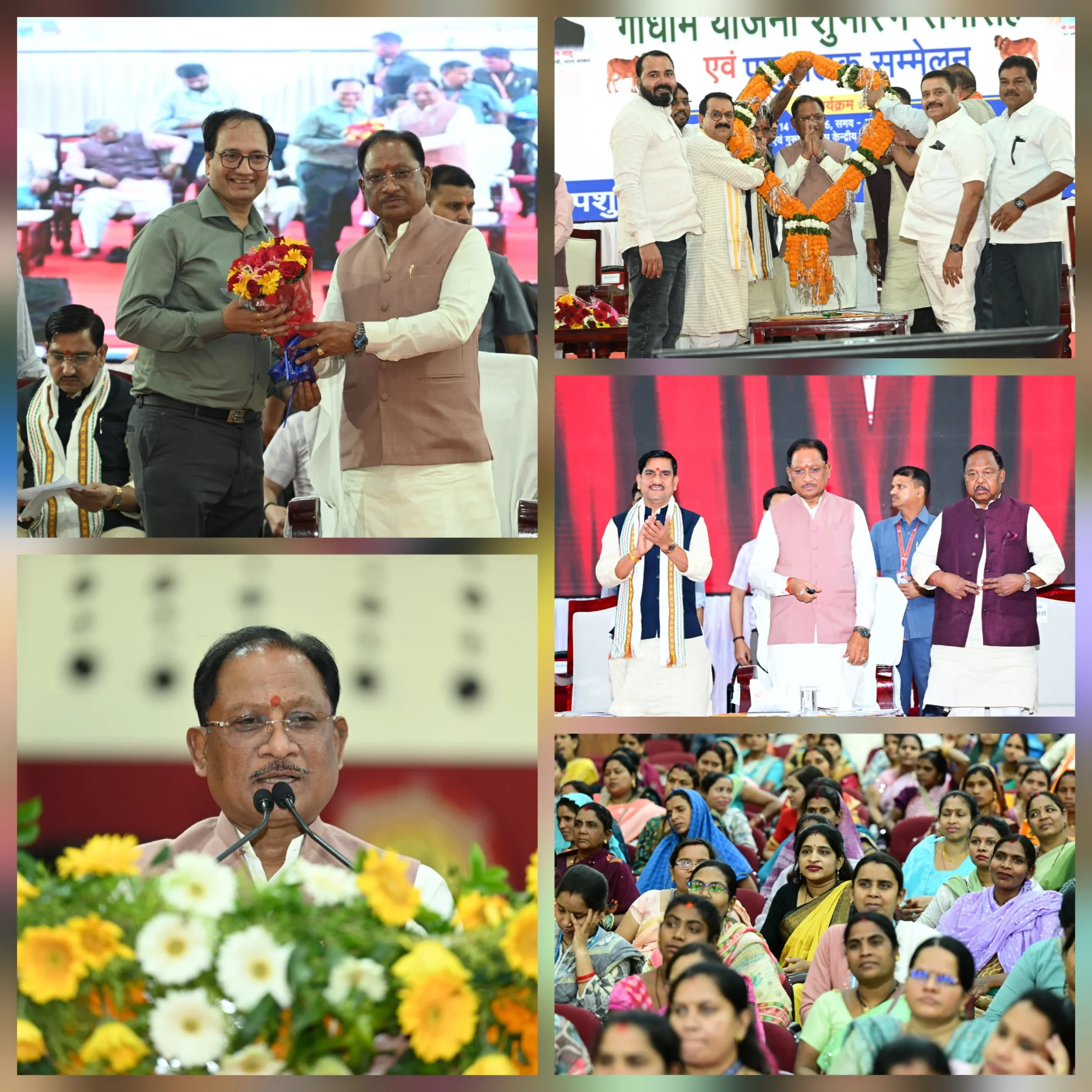 बेसहारा गौवंश को मिलेगा ठिकाना: 11 जिलों में एक साथ 29 गौधाम शुरू, जोगीपुर में बनेगा 184 एकड़ पर प्रदेश का पहला गौ अभ्यारण्य