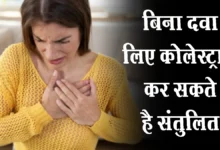 cholesterol control tips in hindi- सावधान! 30 की उम्र पार करते ही बढ़ने लगा है कोलेस्ट्रॉल? इन आयुर्वेदिक नुस्खों से नसों की गंदगी करें साफ और दिल को रखें सुरक्षित cholesterol control tips in hindi- सावधान! 30 की उम्र पार करते ही बढ़ने लगा है कोलेस्ट्रॉल? इन आयुर्वेदिक नुस्खों से नसों की गंदगी करें साफ और दिल को रखें सुरक्षित