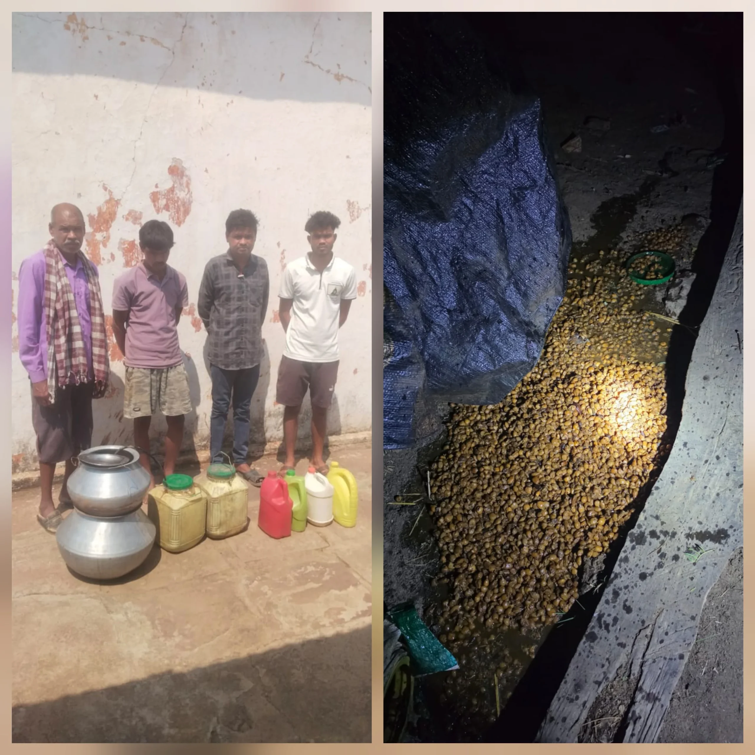 महुआ के काले धंधे पर पुलिस का ‘डबल अटैक’: 4 आरोपी दबोचे, 66 लीटर शराब जब्त… 200 किलो लहान तबाह