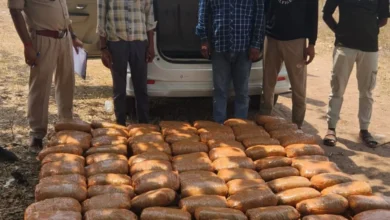 रूट बदला, प्लान फेल: हाईवे पर पुलिस ने तोड़ी तस्करों की कमर.. नाकाबंदी में करोड़ों का गांजा जब्त