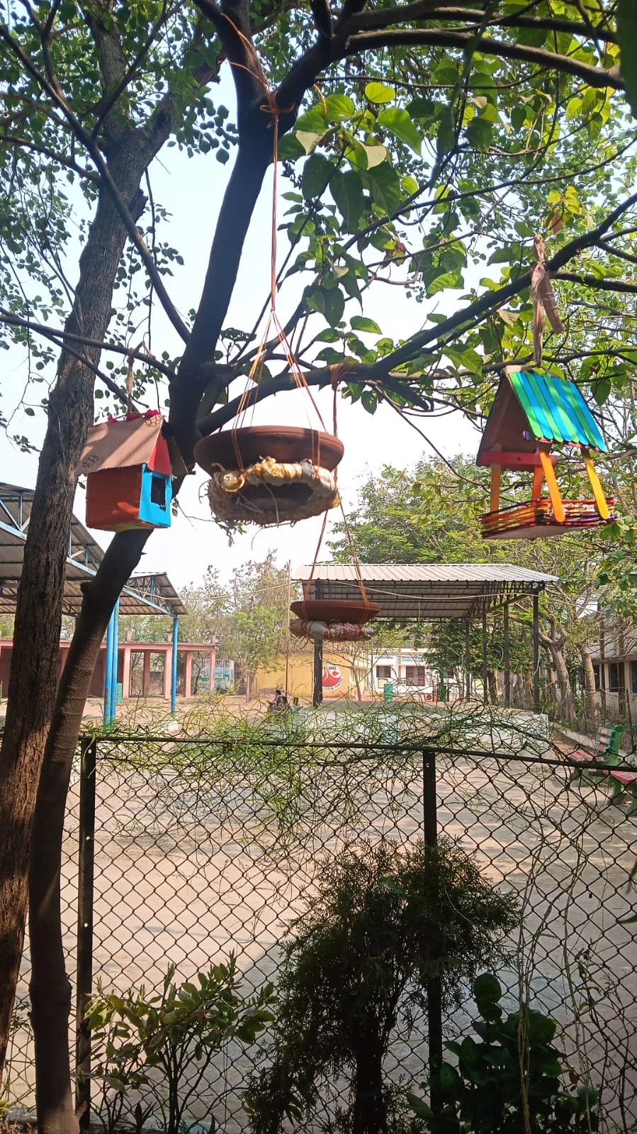 विद्यार्थियों ने पक्षियों के लिए बनाए घोंसले, संवेदनशील शिक्षा का दिया संदेश,सारागांव हायर सेकेंडरी स्कूल के समर कैम्प की अनूठी पहल