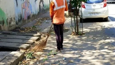 आंधी तूफान से शहर के कई स्थानों पर गिरे पेड़,सफाई और पानी की आपूर्ति में जुटी रही निगम की टीम