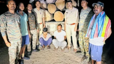 साल लकड़ी तस्करी का भंडाफोड़: वन विभाग की दबिश, दो आरोपी सलाखों के