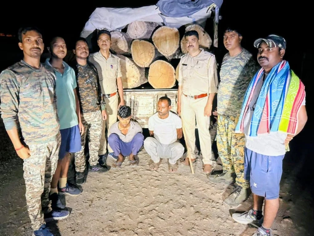साल लकड़ी तस्करी का भंडाफोड़: वन विभाग की दबिश, दो आरोपी सलाखों के