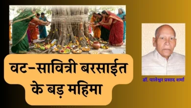 वट-सावित्री बरसाईत के बड़ महिमा – डॉ. पालेश्वर प्रसाद शर्मा वट-सावित्री बरसाईत के बड़ महिमा – डॉ. पालेश्वर प्रसाद शर्मा