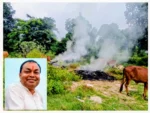 टैक्स वसूली पूरी, सफाई व्यवस्था अधूरी; कूड़े के ढेर में आग से गौवंश की जान पर बनी